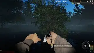 Professional Fishing - Game (Beginners Guide)
