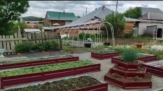 Увеличили теплицу | Порядок на клумбе | Клубника. Седум. ФиксПрайс