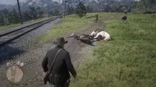 One Of The Rarest Horse Stealing Animations In Game