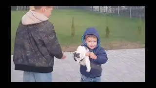 2024-09 нашли кошку и ночь на велосипедах