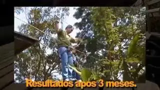 Video para Congresso - Final.