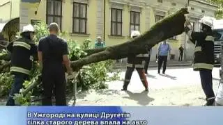 без коментарів впало дерево на авто) на 4 09