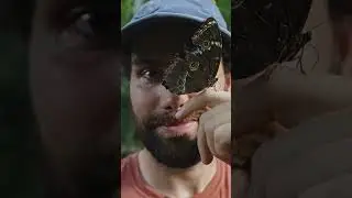 We bought a piece of land in the Amazon Rainforest