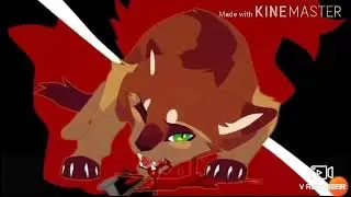 Коты воители клип Animals