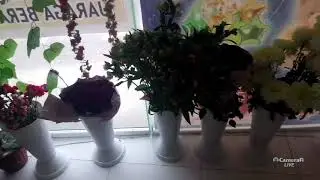 Енг Зур Совгалар Факат Бизда