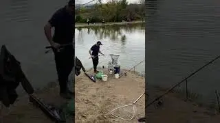 Платная рыбалка, пруд Чёрные камни 18.09.22. Форелька.