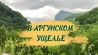 ТУРБАЗА В АРГУНСКОМ УЩЕЛЬЕ