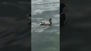 Евпатория