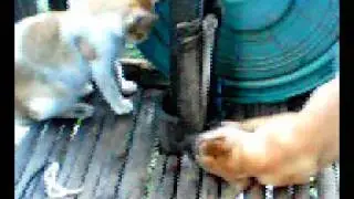 MOV0012A.avi