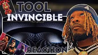 Mind-Blowing Tool Reaction: Invincible (Audio)  | Surprising Response