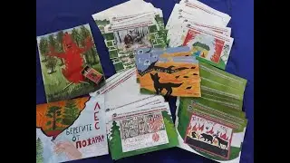 Заповедная природа без пожаров, заповедник 