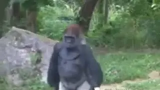Типичный нарк (озвучка)