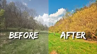How to Color Grade DJI Avata 2 Footage In Davinci Resolve