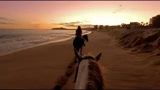 Sunset Horseback Ride in Cabo San Lucas VR