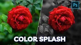 How to create color splash effect in photoshop | Color Splash Effect | Adobe Photoshop 2023