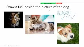 Invite annotations in Zoom