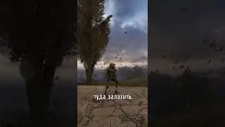 Супер-Карусель в Сталкере! 