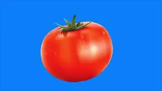 Motion tomato on green screen/animation vegetable green screen