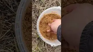 Правильный закормить уклейку 