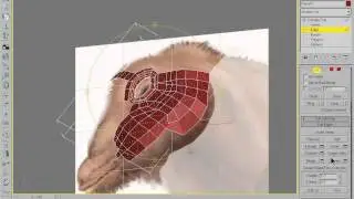 25- Project 03 - Modeling a Complex Object lV Head