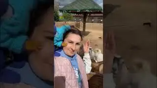 Зоопарк «Планета обезьян» От души рекомендуем 