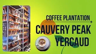 CAUVERY PEAK YERCAUD || COFFEE PLANTATION || PART -1 #coffeeplantation #coffeelover #yercaud
