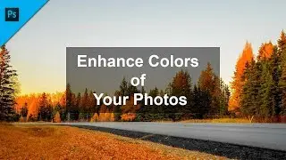 Boost And Enhance Colors of Photos in Photoshop | Color Correction | Colors Pop | HD Short Tutorials
