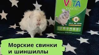 VITAKRAFT VITA SPECIAL ALL IN ONE / VITAKRAFT PELLETS // Можно ли МОРСКИМ СВИНКАМ КОРМ ДЛЯ ШИНШИЛЛ