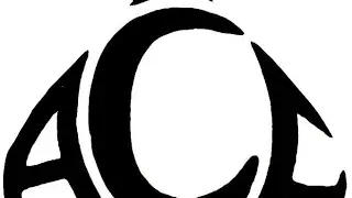 Blank checks discord stream