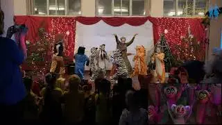 Звери Мадагаскара