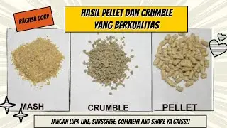 CV.RAGASA CORP || JASA PELLET SAMPAI CRUMBLE BLITAR