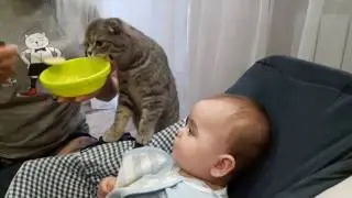 Федя и кошка Степа едят кашу