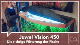 Juwel Vision 450 – Fütterung der Fische
