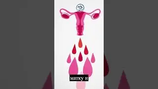 Аюрведа для здоровой матки