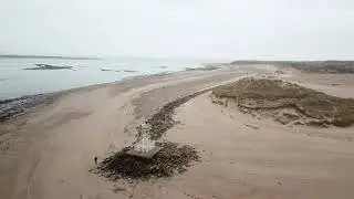 Walking at Crow