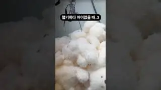 뽑기하다 어이없을 때..3 #인형뽑기 #짱오락실 #뽑기 #뽑기뽀끼 #뽑기꿀팁 #광주오락실 #오락실 #광주데이트 #clawmachine  #cranegame