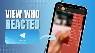 How To See Who Reacted On My Telegram Channel Post (Easy)