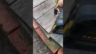 Спасение ужика ну или гадюки я не разбираюсь , просто живое существо ...
