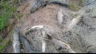 ARMEI DUAS MALHADEIRAS NOVAS NO AÇUDE ABANDONADO A NOITE