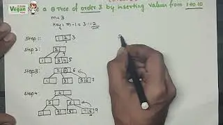 B tree (Insertion) Order 3  |Data structures & Algorithms |  All Universities