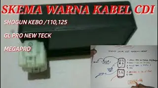Skema jalur Warna Kabel CDI SHOGUN KEBO @Woeychannel