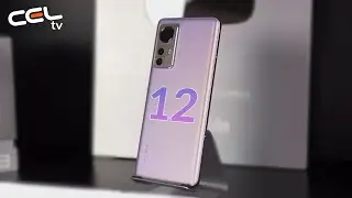 Xiaomi 12 | Flagship undercover | Unboxing & Review