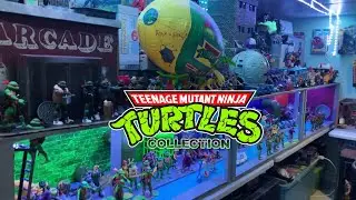 🐢 Ninja Turtles & Marvel Legends Action Figure Collection 2024