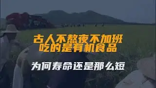 古人不熬夜不加班，吃的是有机食品，为何寿命还是那么短？