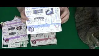 Распаковываем дополнение к настольной игре Покорители Космоса  Новые Горизонты