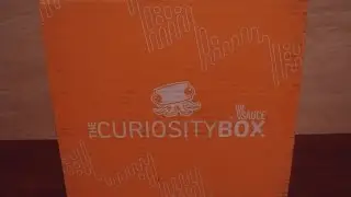 Curiosity Box, best of q1