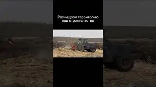 Корчеватель и мульчер в работе. Расчищаем участок от деревьев и корней под строительство .