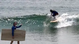 Hand Shaped Xylem Surfboard made w/ Hawaiian Wood