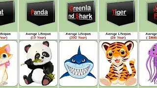 Lifespan of Different Animals | Living age of different animals