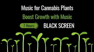 Music for Cannabis Grow 🌱 Stimulate Plant Growth and Massive Blooming | Black Screen